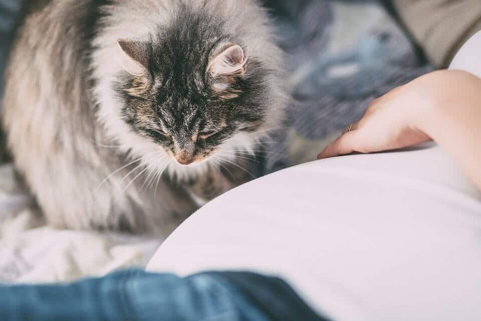 Аллергия весной. Симптомы и полезные советы по лечению 4